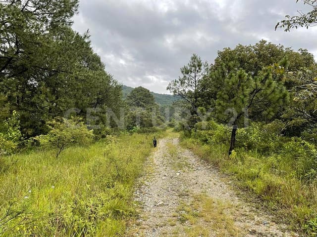 VENTA DE TERRENOS $4,500 M2 FRACCIONAMIENTO LAGOS PROVIDENCIA , VALLE DE BRAVO