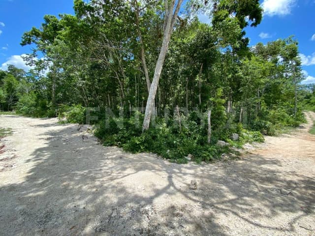 Terreno en Tulum Quintana Roo