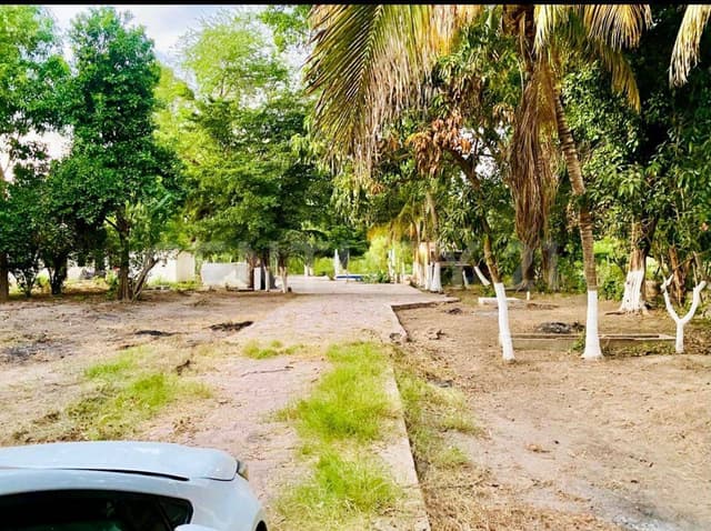 TERRENO EN VENTA en San Miguel Zapotitlán, Ahome, Sinaloa.