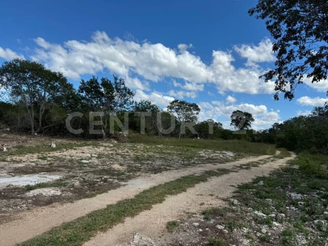 Terreno campestre en venta de 1000 m2 Komchén Zona residencial Mérida, Yucatán.