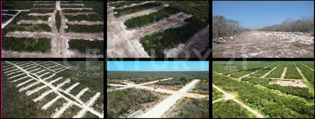 Terreno en Venta en Desarrollo Tres Raices Lote 224, en Flamboyanes, Progreso