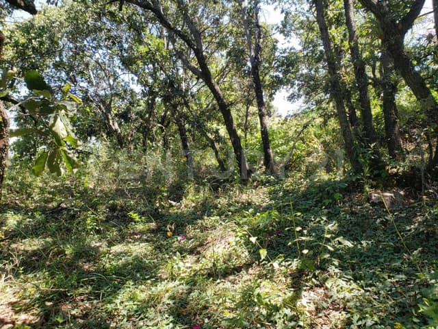 Venta de Terreno Haras del Bosque 500m2 ZONA ACRES