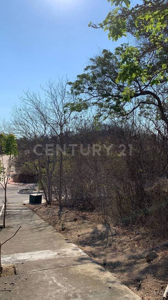 Terreno en venta Residencial conejos Lote 7
