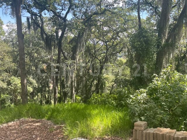 Venta Terreno Condado de Sayavedra 10713 RTV