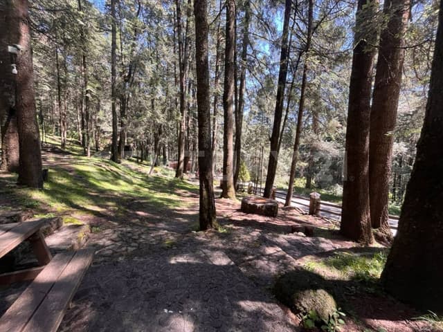 Se vende árbol de navidad con 3 chalets en Villa Alpina, Naucalpan, Edo. México