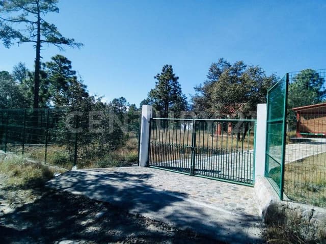 VENTA DE TERRENO CAMPESTRE EN EL SOLDADO, DURANGO, DURANGO.