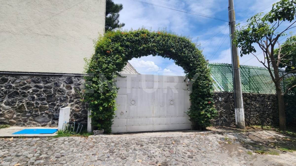 Fotos adicionales