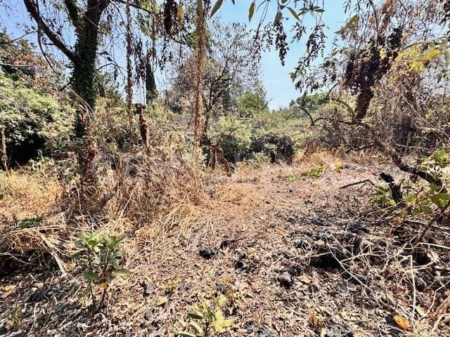 Exclusivo Terreno en Venta, Jardines del Pedregal sobre Av. Picacho