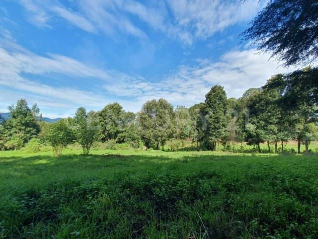 TERRENO PLANO EN SAN SIMÓN, VALLE DE BRAVO.