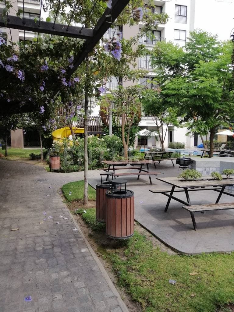 Fotos adicionales
