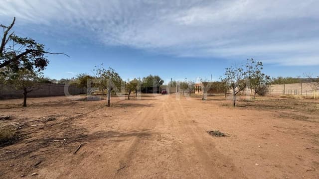 GRANJA NOGALERA PRODUCTIVA EN VENTA CERCA DE CARRETERA ALDAMA