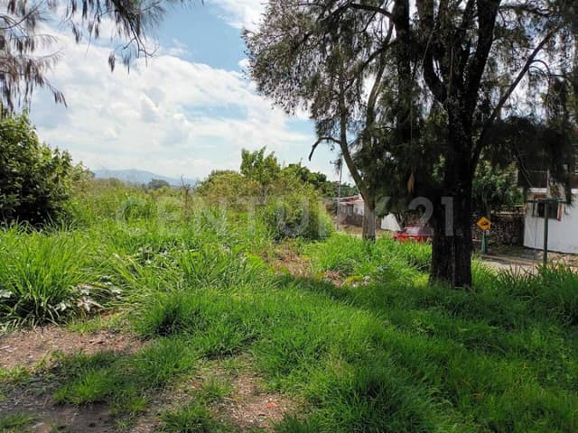 Terreno comercial en Lomas de Atzingo