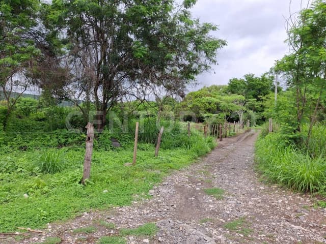 TERRENO EN VENTA A 2KM DEL BALNEARIO TERMAL "CARRIZAL"