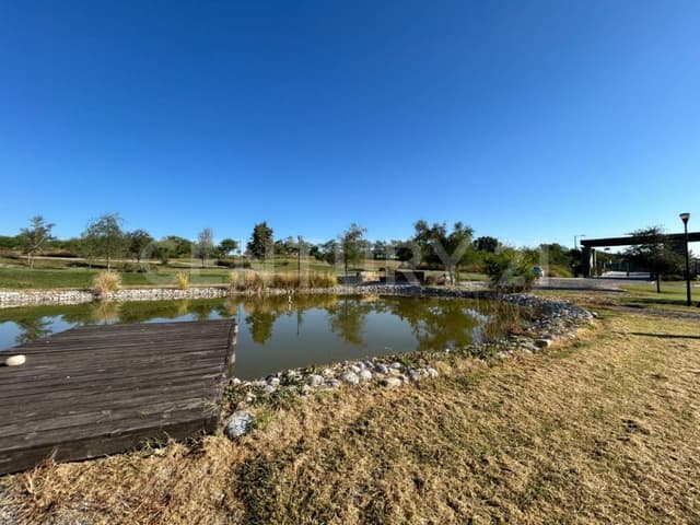 Terreno Residencial o para Quinta Campestre, Colonia Bosque Real