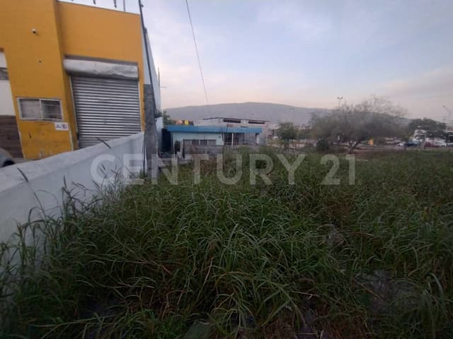 TERRENO EN RENTA EN COL. PLUTARCO ELIAS CALLES