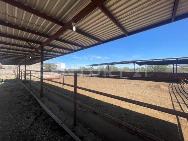 Terreno en venta Las Animas, Chihuahua