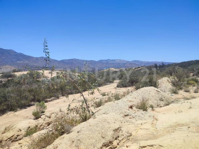 TERRENO CAMPESTRE EN VENTA