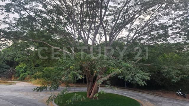 TERRENO EN VENTA EN ALTOZANO COLIMA