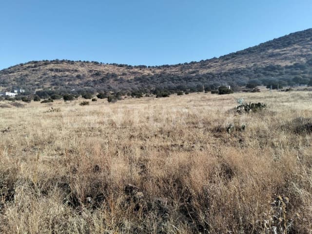 - EN VENTA TERRENO EN FRACC. GRANJAS FAMILIARES III ETAPA CD. CUAUHTEMOC, CHIH