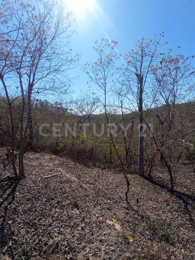 Lote en venta en Zipolite Arroyo Tres, 960 Mts2.