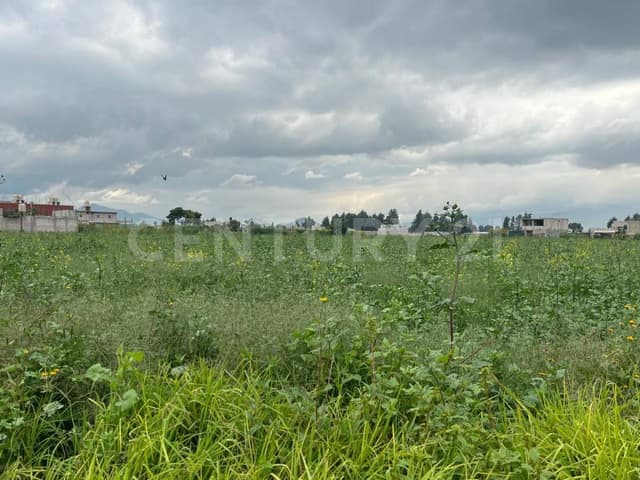 PARCELA ACTUALMENTE CON SEMBRADÍOS DE CEBADA SIN BARDAS EN VENTA.