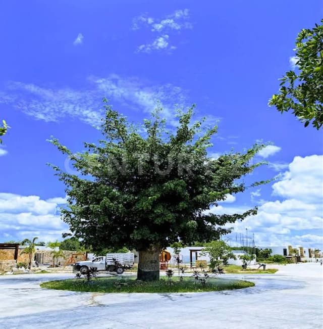 Rocio Country Living Lote Residencial 75