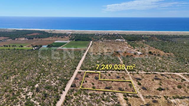 TERRENO EN VENTA PLAYITAS LINDAS , LAS PLAYITAS, TODOS SANTOS, B.C.S.