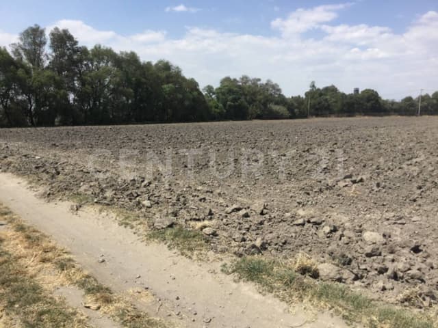 VENTA DE TERRENO, EN SAN MIGUEL XOXTLA ATRAS DE TERNIUM,