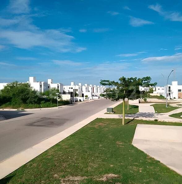 Fotos adicionales