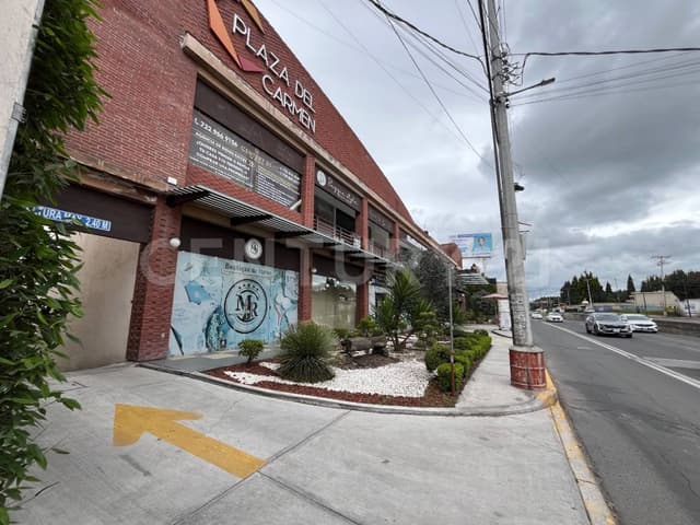 Local en Renta en Plaza del Carmen AV Técnologico, Metepec