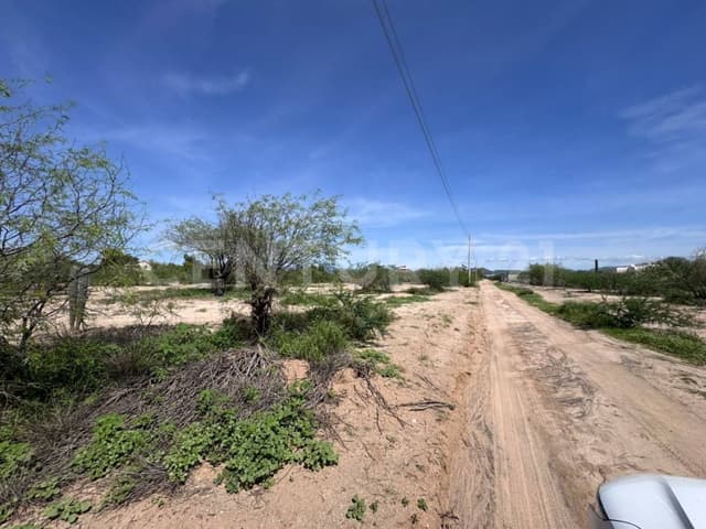 CAMPESTRE CALLE VILLA DE LA PLAYA