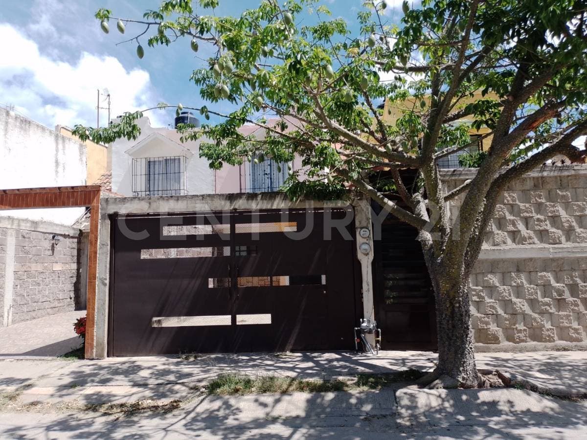 Fotos adicionales