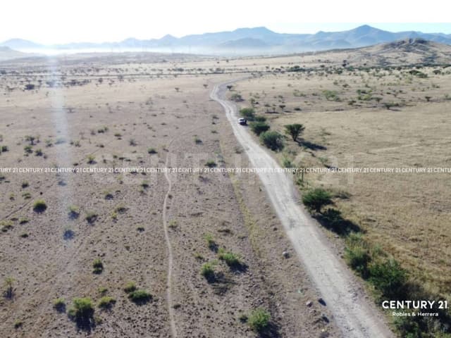 Terreno en Venta en Ejido Labor de Dolores, Chih.