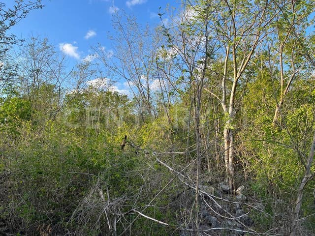 Terreno en Venta en Sitpach, Mérida, Yucatán
