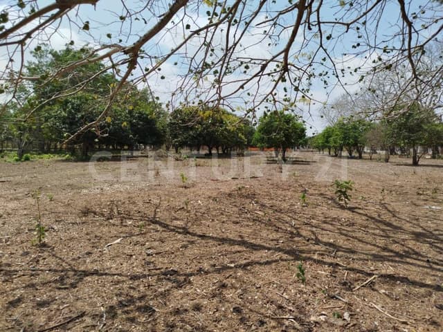 TERRENO EN ALDAMA, TAMAULIPAS