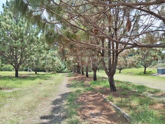 Terreno Habitacional o Comercial en venta en Fracc. San Rafael Cuauhtémoc, Col.