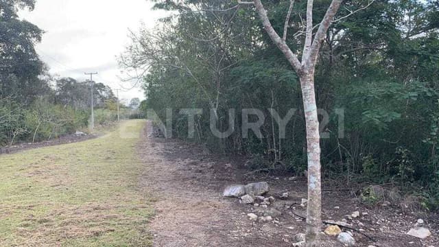 TERRENO EN VENTA EN BERRIOZABAL