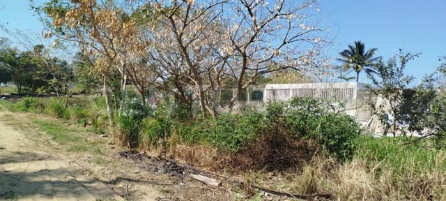TERRENO EN VENTA Col Paraiso en Lomas de Barrillas A