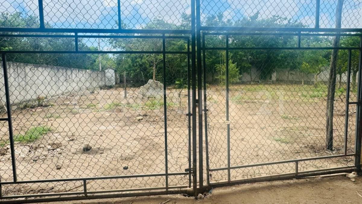 Fotos adicionales