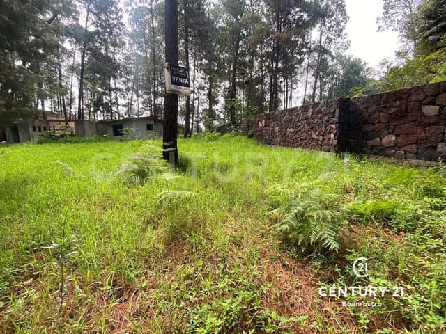 TERRENO EN VENTA CAMINO A CERRO GORDO, AVÁNDARO, VALLE DE BRAVO