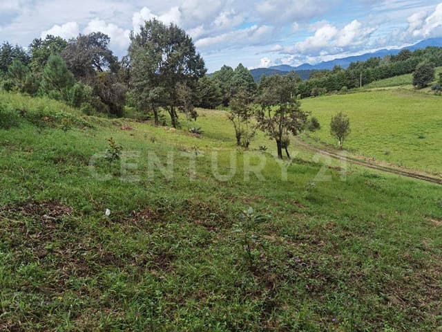 TERRENO EN VENTA EN EL CASTELLANO, ACATITLÁN