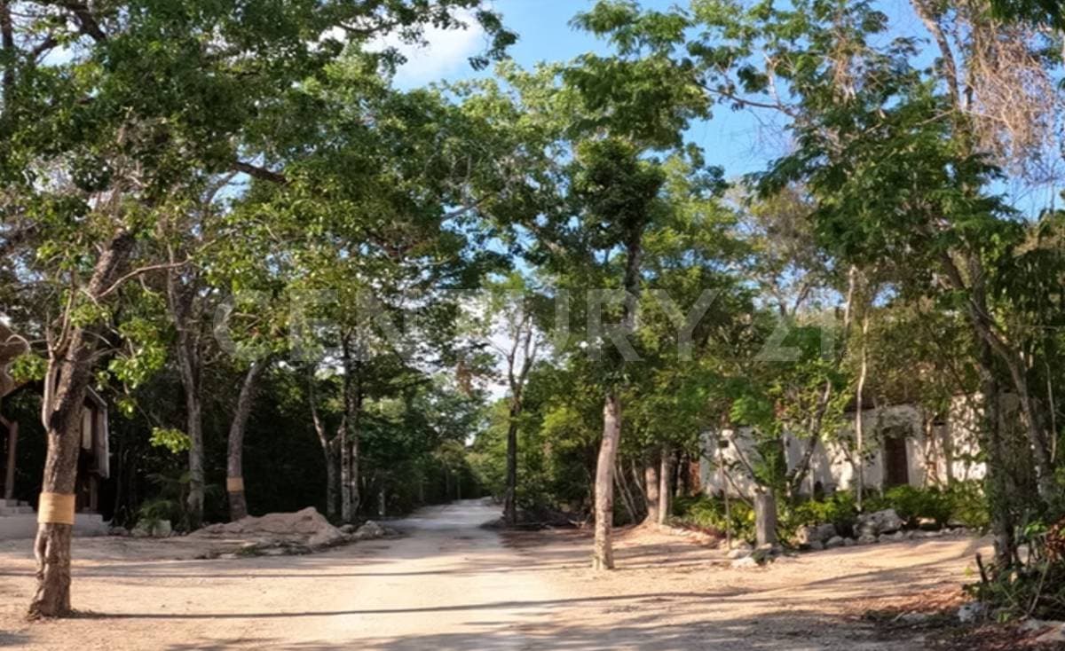 Fotos adicionales