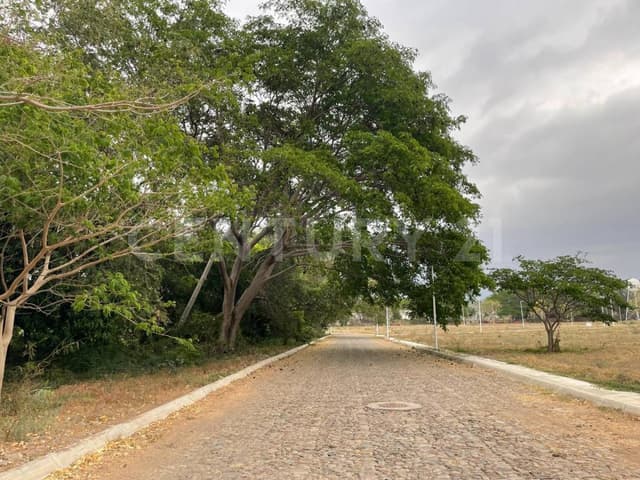 Ex Hacienda la Cañada Manzana 116 Lote 03, La Cañada, Comala, Colima