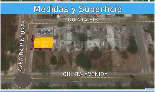 Se vende lote en la Av Pintores y 5ta Bis Avenida Playa del Carmen P3741