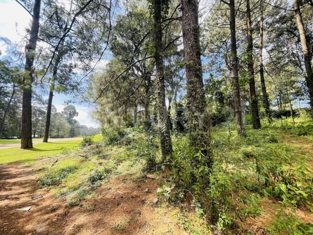 TERRENO JUNTO AL FAIRWAY EN RANCHO AVÁNDARO