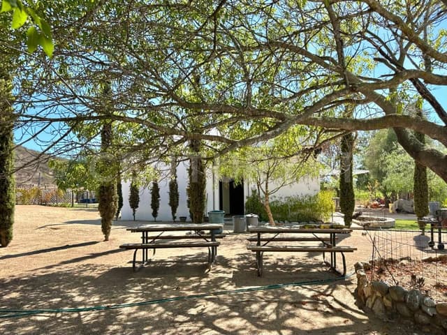 VIÑEDO EN VENTA, FCO ZARCO, VALLE DE GUADALUPE, ENSENADA, B.C.
