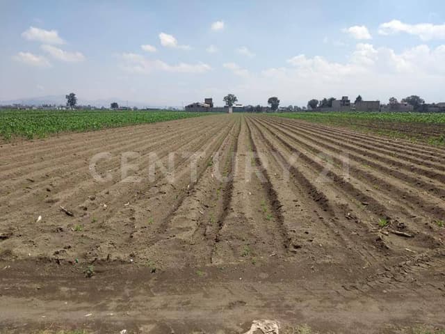 Terreno en Venta en San Pablo Atlazapan, Chalco, México
