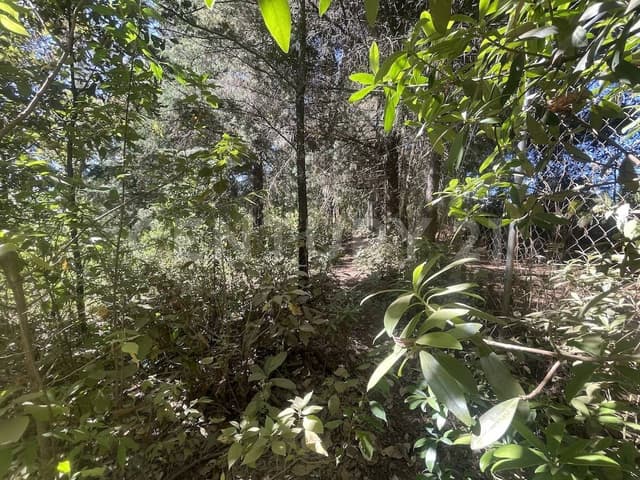 TERRENO EN VENTA EN SAN SIMÓN DEL ALTO, VALLE DE BRAVO