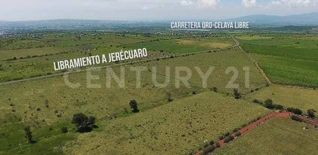 50 HECTAREAS EN VENTA EN APASEO EL ALTO GUANAJUATO