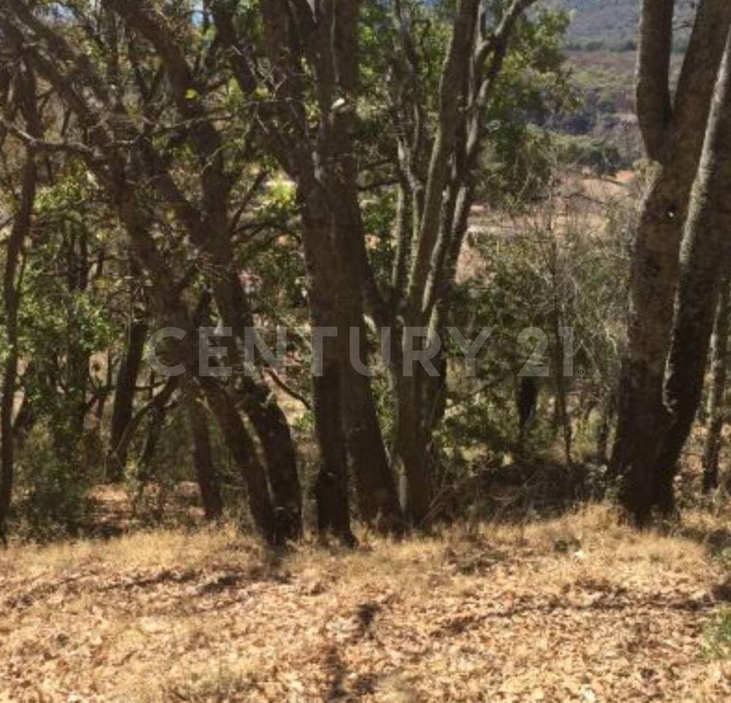 Fotos adicionales